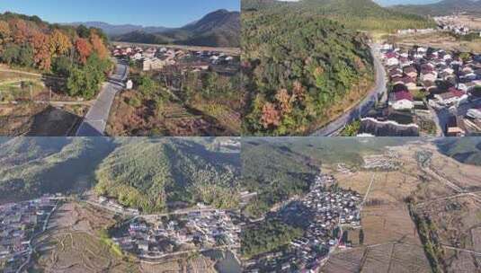 江西金溪：生态山村 冬景如画高清在线视频素材下载