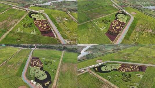 田野女神 稻田守护神 昆明福保小三亚 4k高清在线视频素材下载