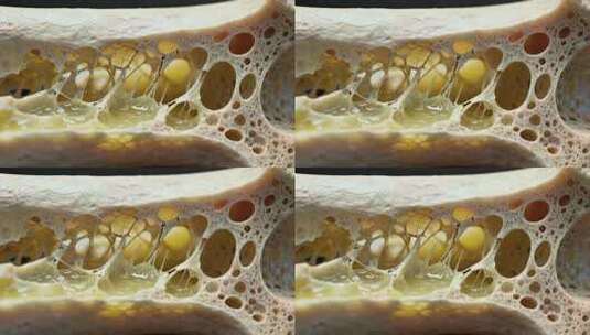 微距特写蜂巢结构高清在线视频素材下载