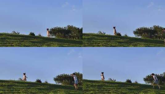 假日里草原上休闲的玩耍的小女孩高清在线视频素材下载