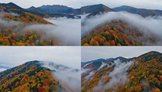 秋季山林云雾环绕景象高清在线视频素材下载