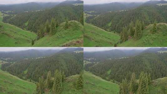 江布拉克风景区航拍高清在线视频素材下载