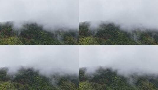 航拍雨后的云雾山脉森林江南秋景高清在线视频素材下载