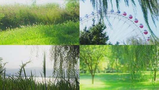 夏天清晨阳光树叶光影逆光小清新空镜高清在线视频素材下载