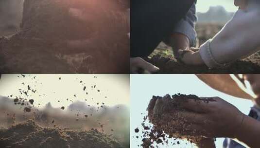 土壤土播种子农业雨泥土地雨滴水滴小麦希望高清在线视频素材下载