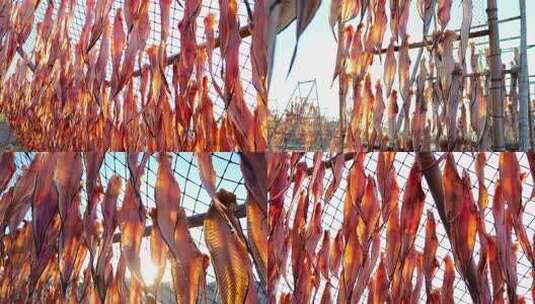 晒鱼干 晒鱼高清在线视频素材下载