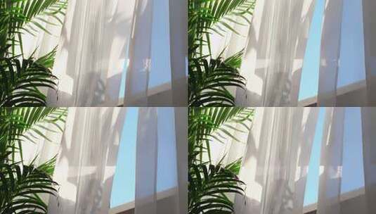 窗边绿植与白色纱帘高清在线视频素材下载