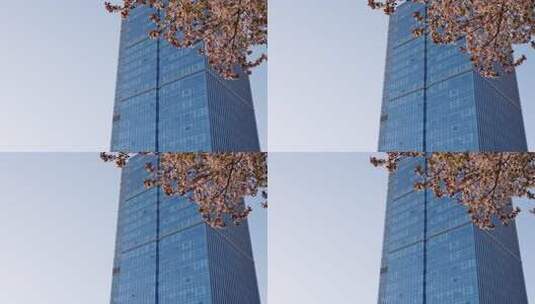 春天有樱花的商务写字楼玻璃幕墙高清在线视频素材下载