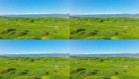 草原雪山自然风光全景高清在线视频素材下载