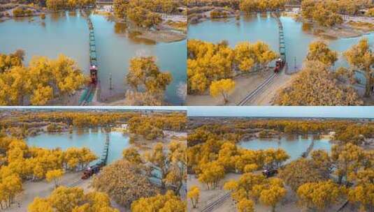 额济纳胡杨林小火车内蒙古风景秋天胡杨高清在线视频素材下载