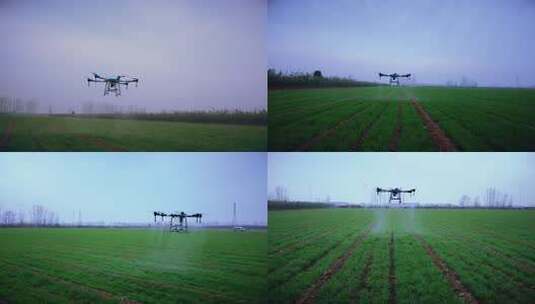 无人机飞防 无人机麦田喷药 春耕 现代农村高清在线视频素材下载
