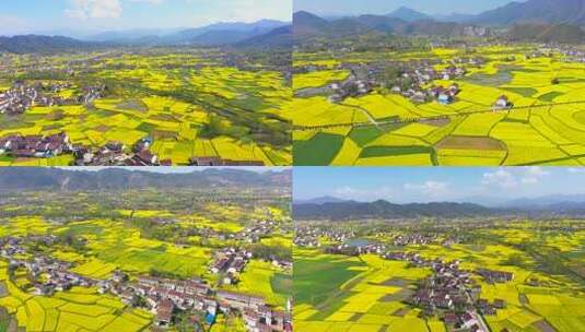 航拍美丽乡村振兴农田三农农业高清在线视频素材下载