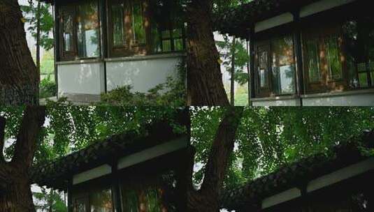 古建筑旁茂盛绿树景象高清在线视频素材下载