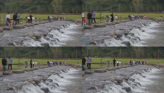 相机高清摄柏临河湿地公园南岸11高清在线视频素材下载