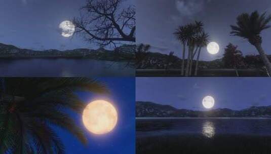 中秋节湖面上升起的月亮高清在线视频素材下载