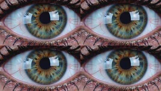 人眼微距特写素材高清在线视频素材下载