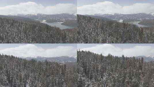 「有版权」航拍普达措国家公园雪景4K-4高清在线视频素材下载