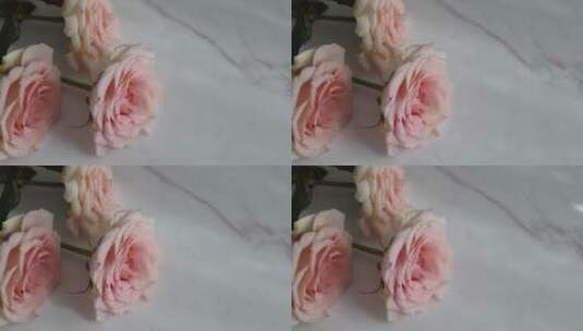 三朵粉红玫瑰高清在线视频素材下载