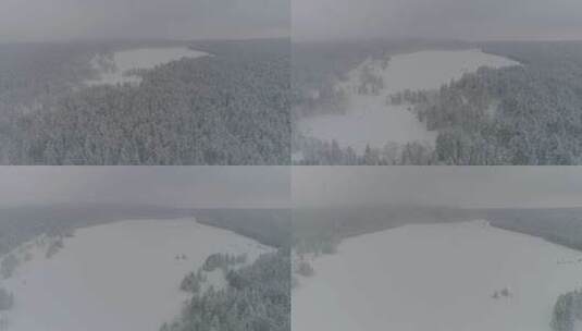 冬季长白山原始森林老里克湖童话雪景高清在线视频素材下载