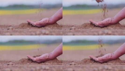 一只手接住洒下来的土壤高清在线视频素材下载