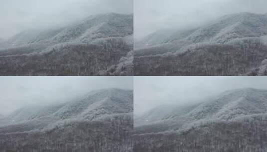 航拍湖北神农架大九湖冬季冰雪风光雪景高清在线视频素材下载