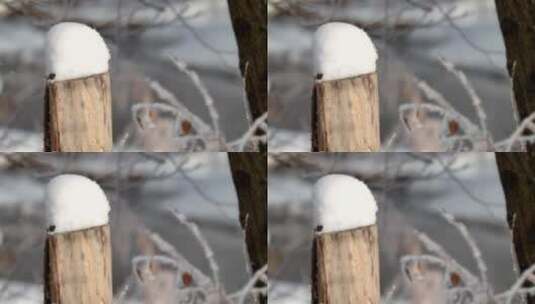 乡村栅栏柱上的积雪高清在线视频素材下载