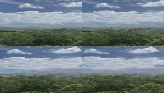 蒜溪公园风景4K实拍视频高清在线视频素材下载