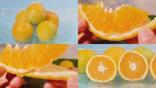 夏橙素材高清在线视频素材下载