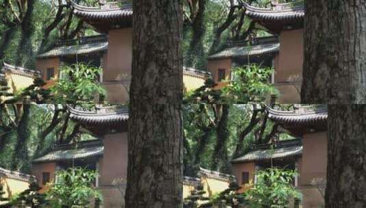 浙江普陀山法雨寺禅院建筑视频高清在线视频素材下载