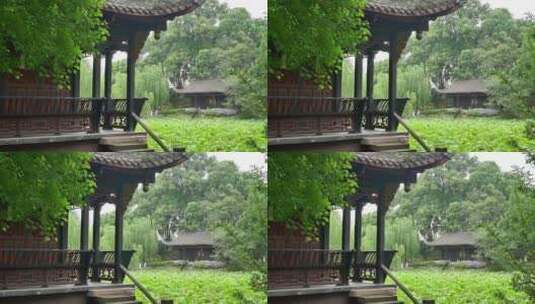 桂湖一景高清在线视频素材下载