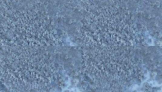 航拍雪花飘落下雪时雾凇雪景高清在线视频素材下载