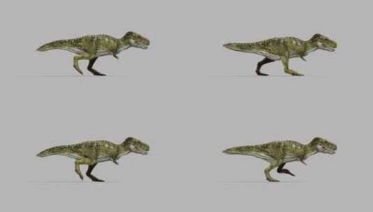 史前恐龙高清在线视频素材下载