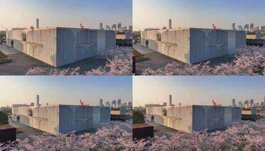 上海龙美术馆樱花盛开上海徐汇滨江樱花航拍高清在线视频素材下载