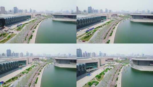 天津文化中心海棠花景观航拍高清在线视频素材下载