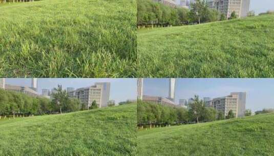 济南高新区金融科创公园，绿色草地小山坡高清在线视频素材下载