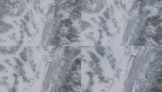 雪域森林的鸟瞰图，树木被雪覆盖高清在线视频素材下载