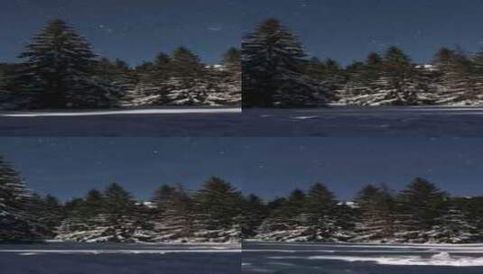 冬季森林上空蓝色星空星星的垂直全景自然天高清在线视频素材下载