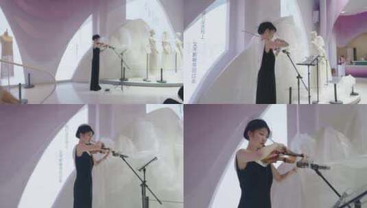 婚礼纪小提琴演奏高清在线视频素材下载
