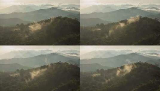 森林山脉风景云雾树林自然山谷黎明阳光高清在线视频素材下载