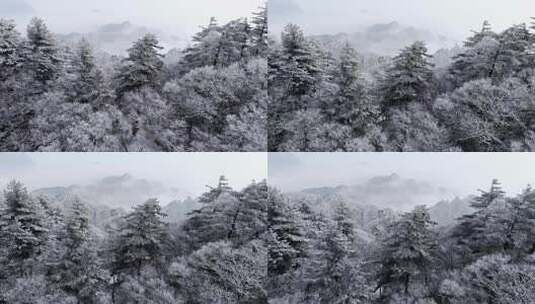 南太行伏牛山雪景雾凇云海自然风光高清在线视频素材下载