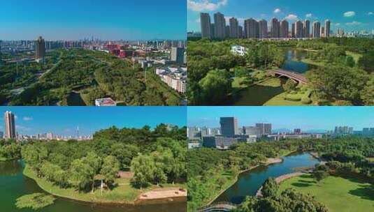 宁波院士公园高清在线视频素材下载