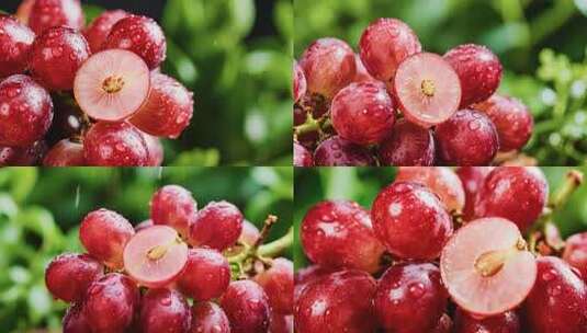 新鲜红提特写高清在线视频素材下载