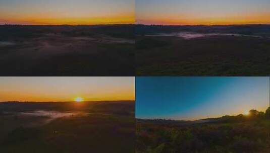 日出森林日出清晨日出高清在线视频素材下载