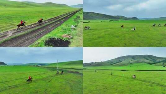 呼伦贝尔草原罕乌拉山下牧民赛马高清在线视频素材下载