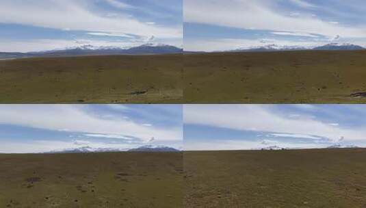 草原雪山自然风光全景高清在线视频素材下载