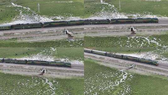 青藏铁路火车行驶在草原高清在线视频素材下载