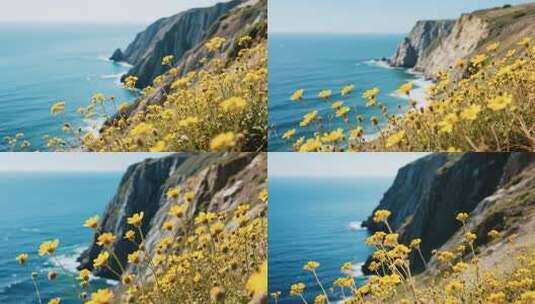 海边悬崖旁的黄色小花景观高清在线视频素材下载