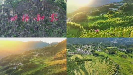 浙江丽水 云和梯田 金色阳光下的绿色梯田高清在线视频素材下载