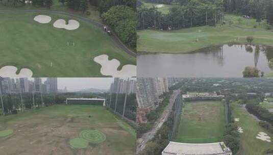 【4K50帧】深圳高端高尔夫球场绿茵草地高清在线视频素材下载