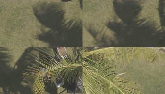 草地上的女孩享受惬意时光高清在线视频素材下载